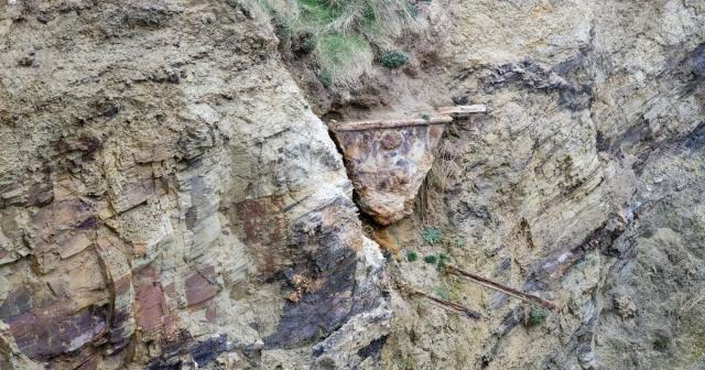A 100-year-old cart is emerging from a cliff at Gwithian after vegetation was cleared from around it two years ago, and some more recent erosion, making it more visible. The cart is thought to be part of the Gwithian Tin Works, which lifted tin-rich sand 